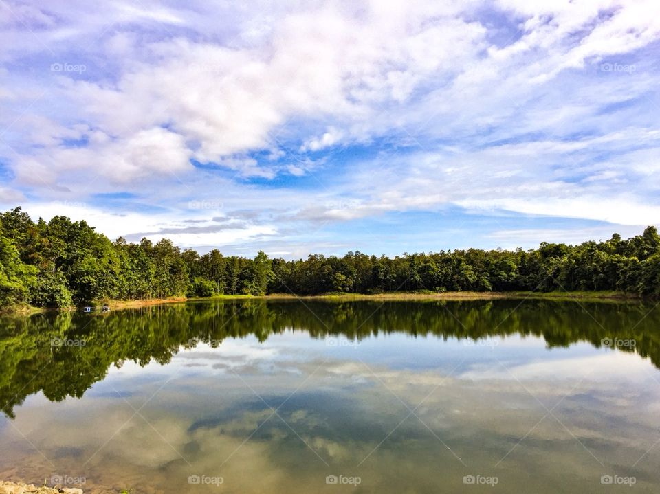 The perfect reflection