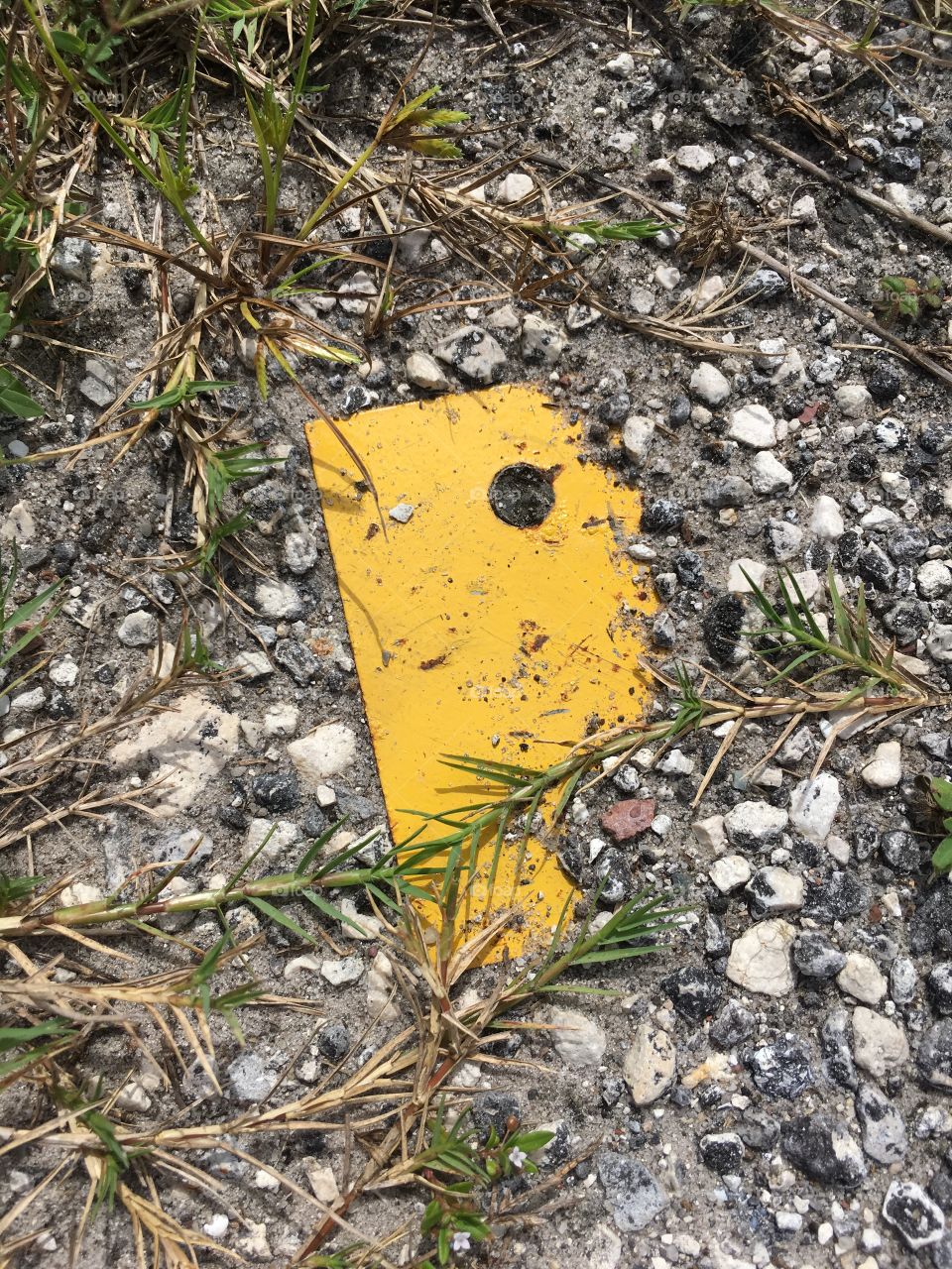 Piece of yellow in the ground 