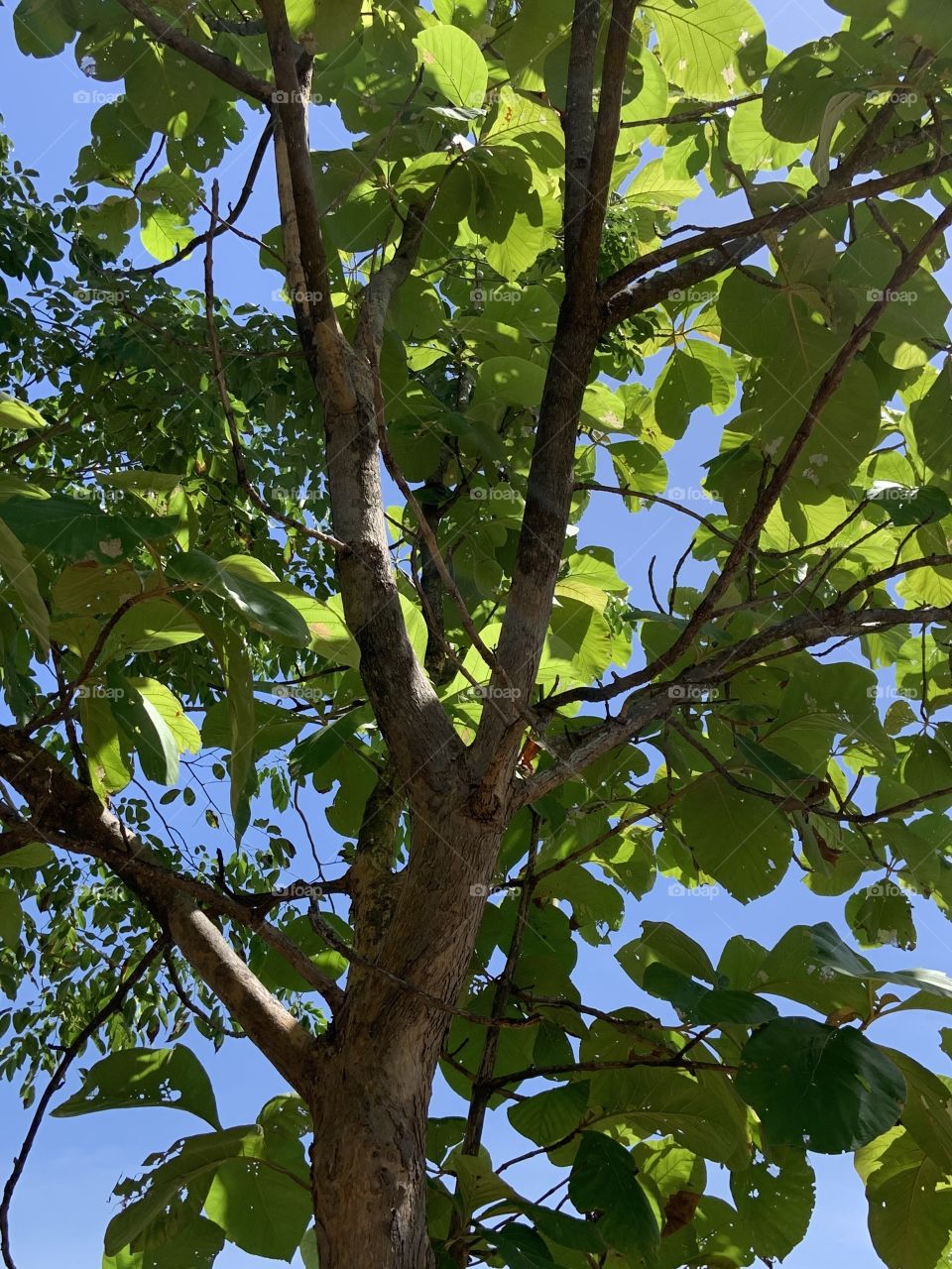 Shape of the nature, countryside (Thailand)