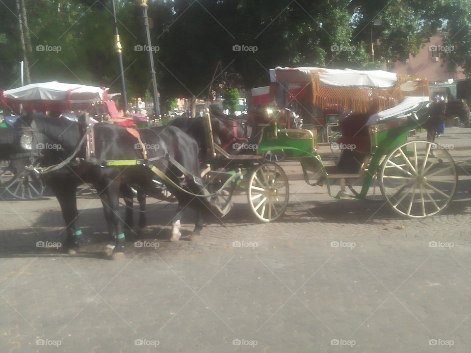 a chariot pulled by horses.