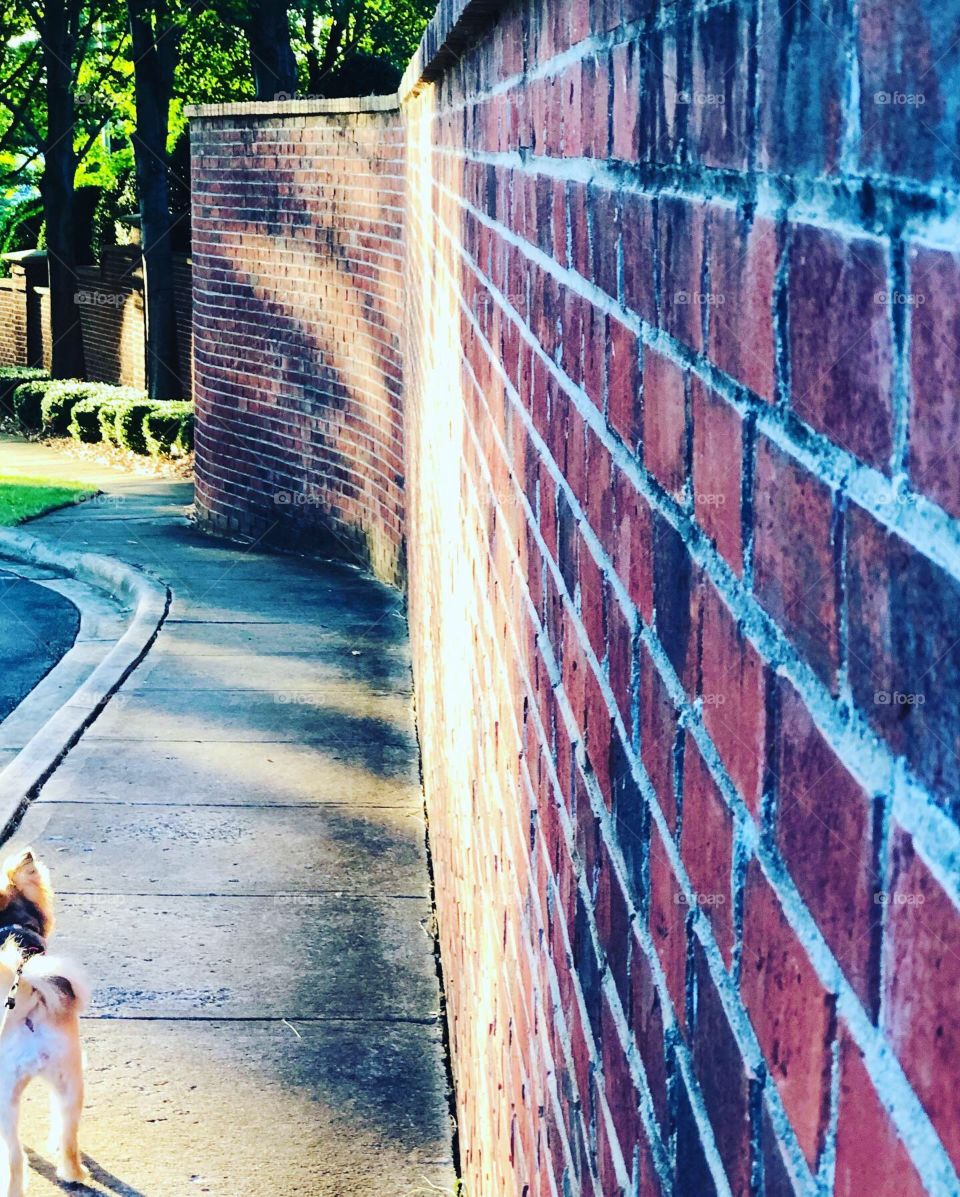 Heading no place in particular 