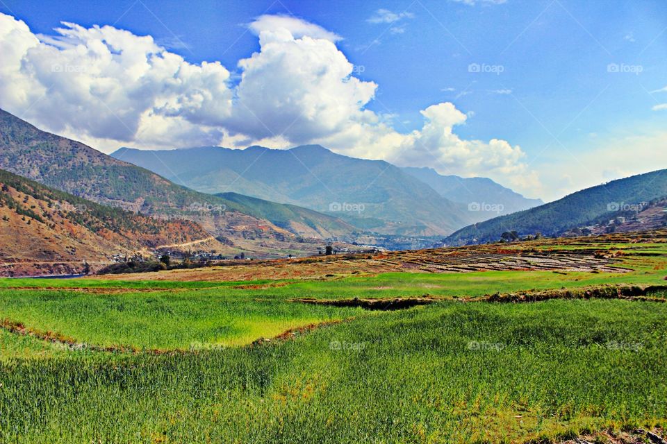 Countryside valley in Bhutan