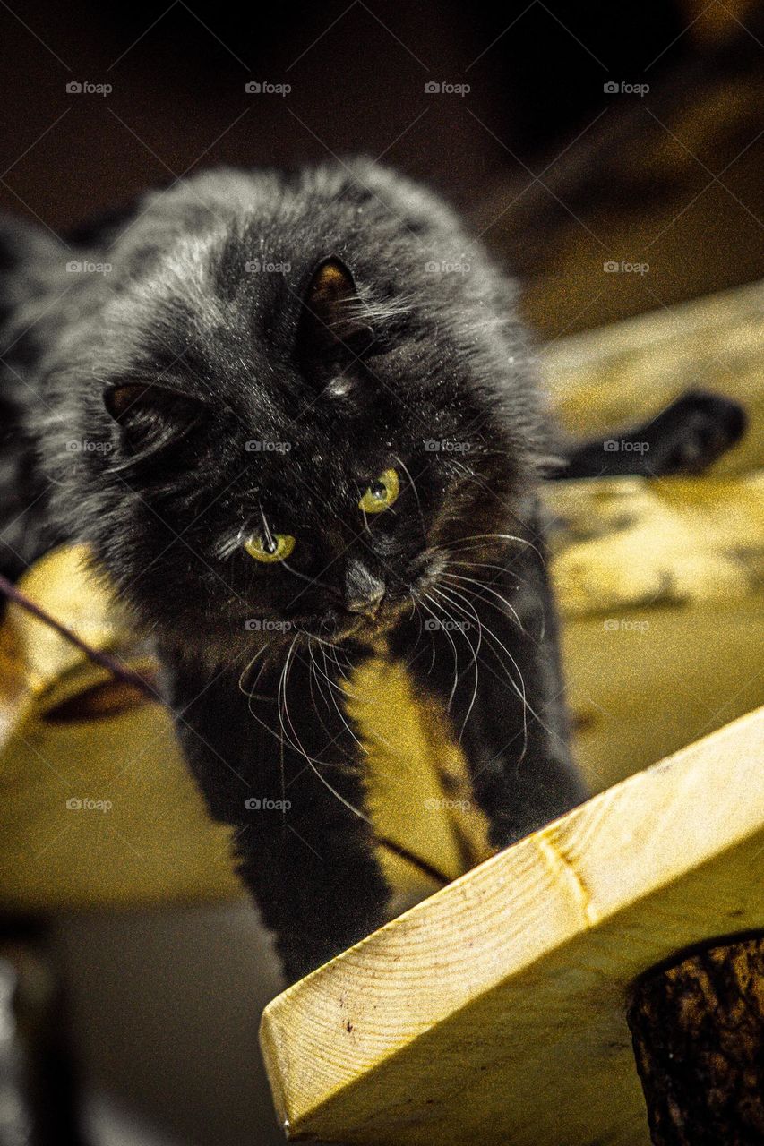 Octavia stretching to the next step of the stairwell.