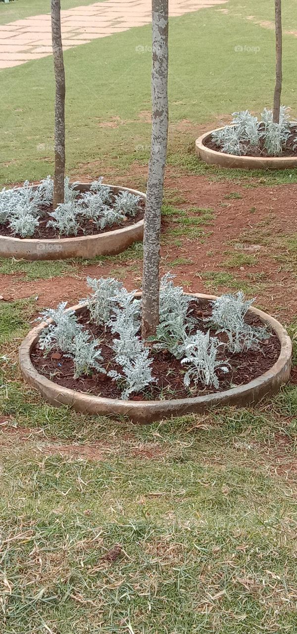 getting cooler 😍🥶