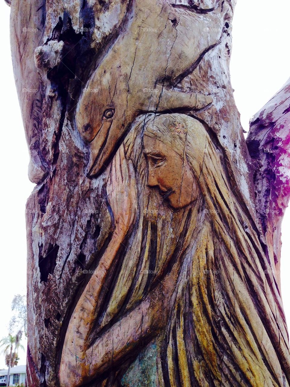 Tree carving