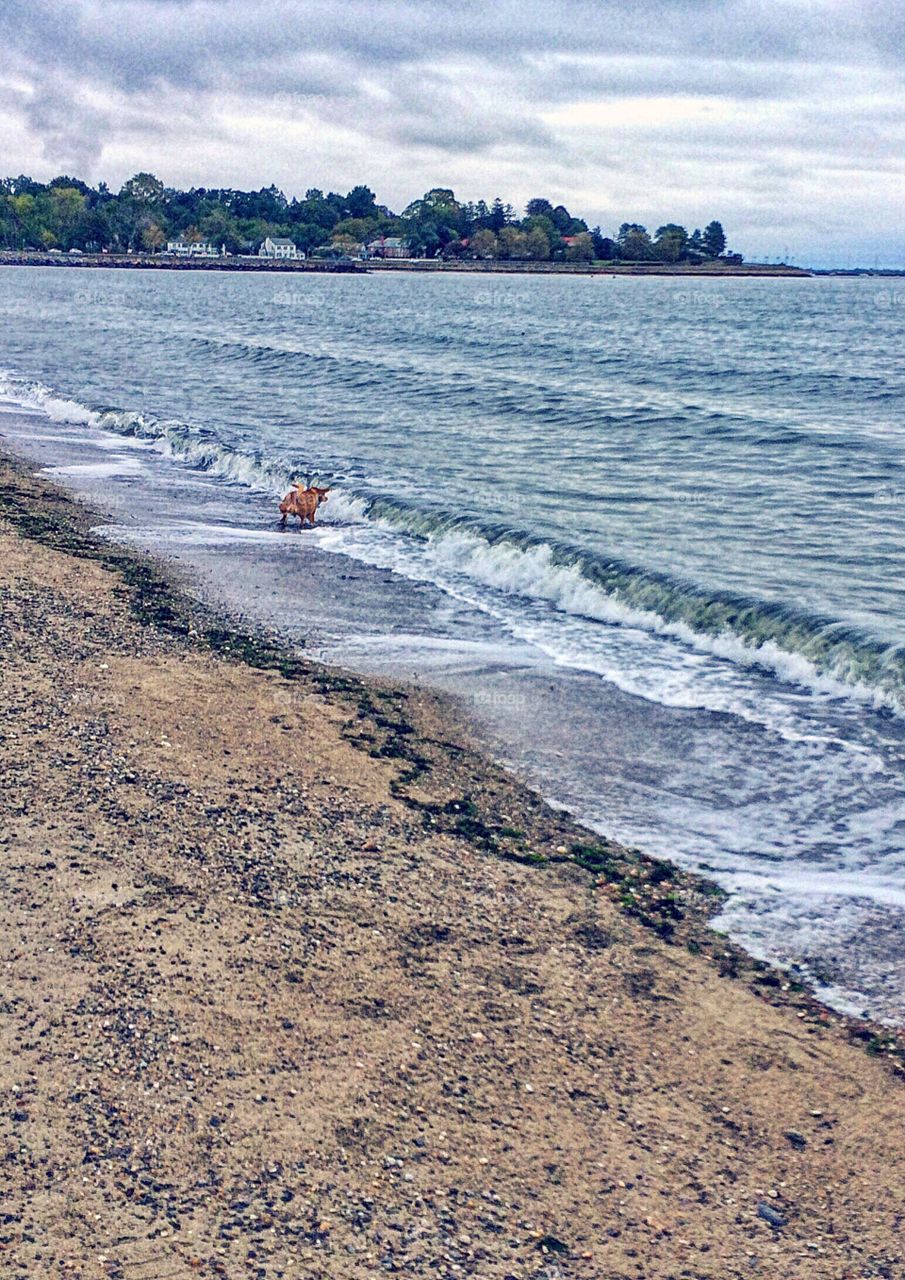 Jennings Beach, Fairfield CT...