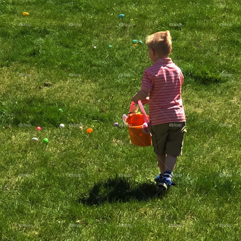 Egg hunt 