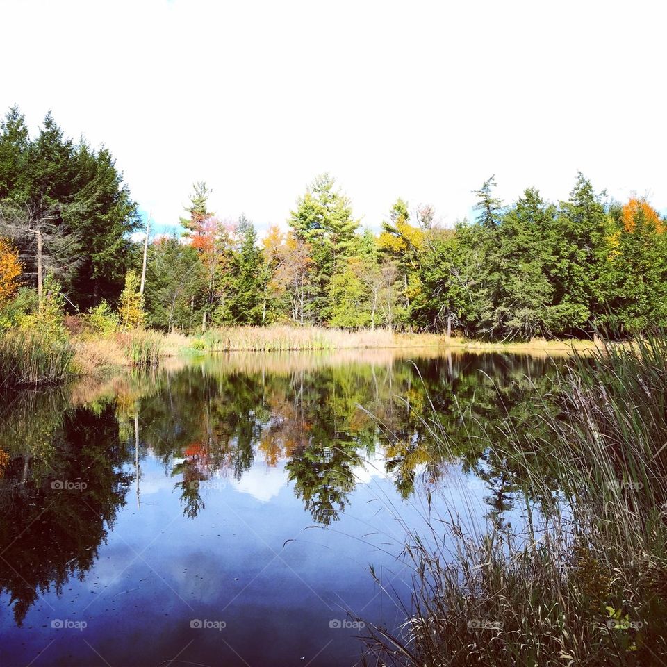 Pond in PA