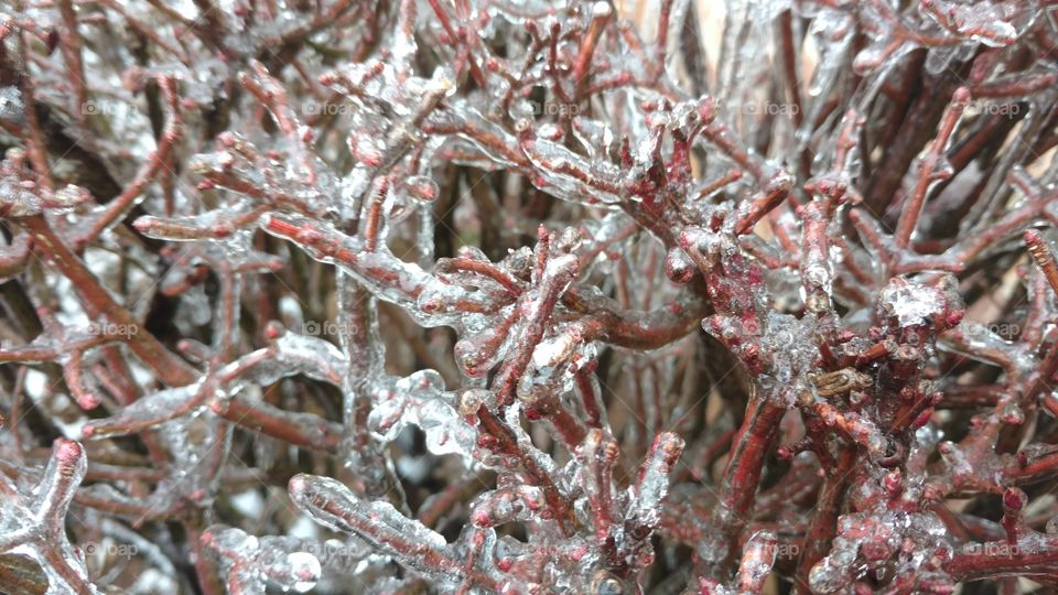 Frost, Desktop, Winter, Crystal, Nature