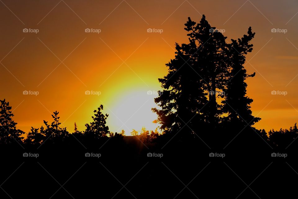 Winter in finnish Lapland