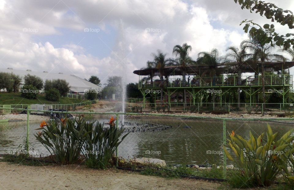 Fountain On  The Lake