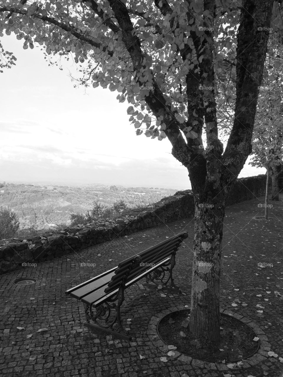 Monochrome, Bench & View, Castelo de Vide, Portugal
