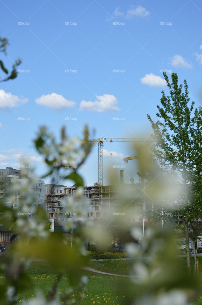 construction and blossom