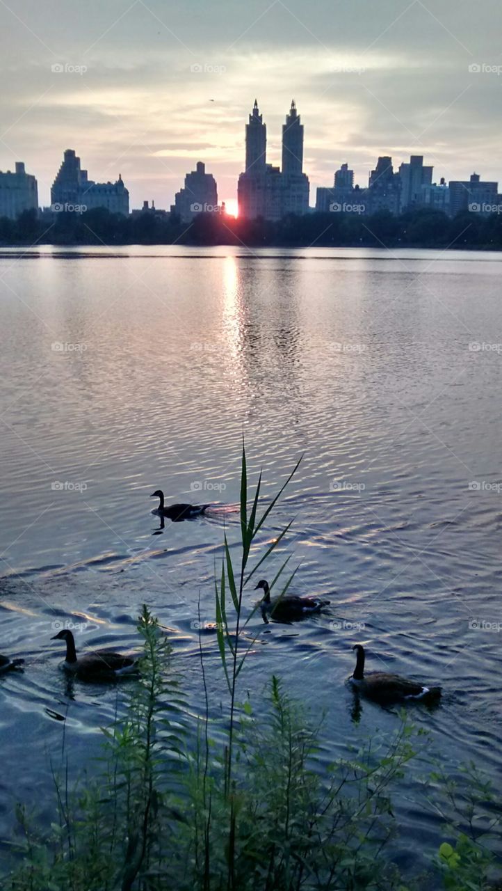 NYC Sunset over thebl Reservoir