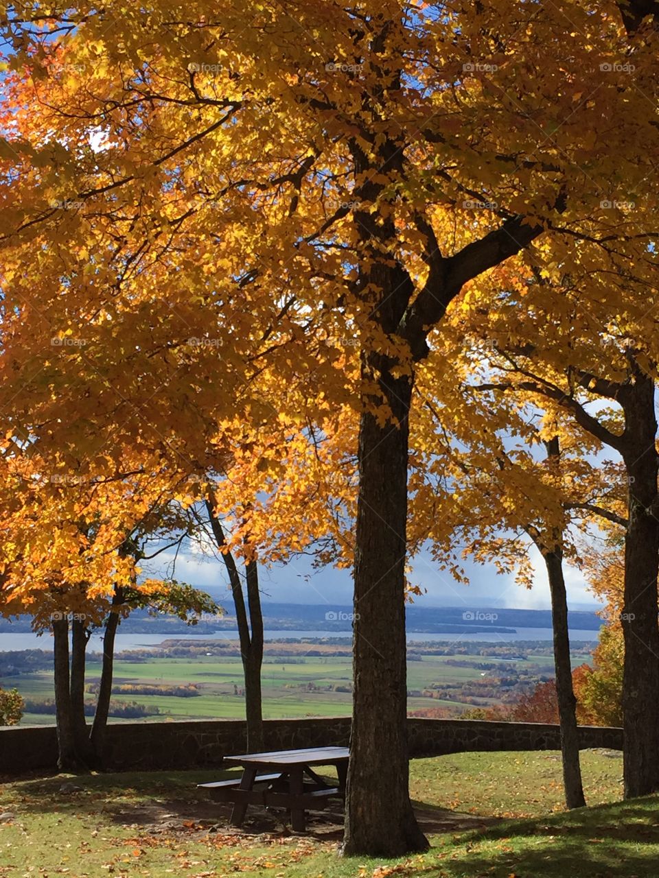 Gatineau Park in the fall