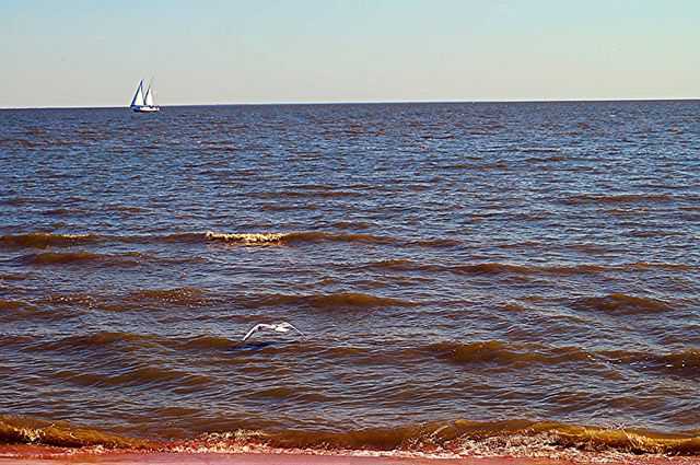 Lone boat