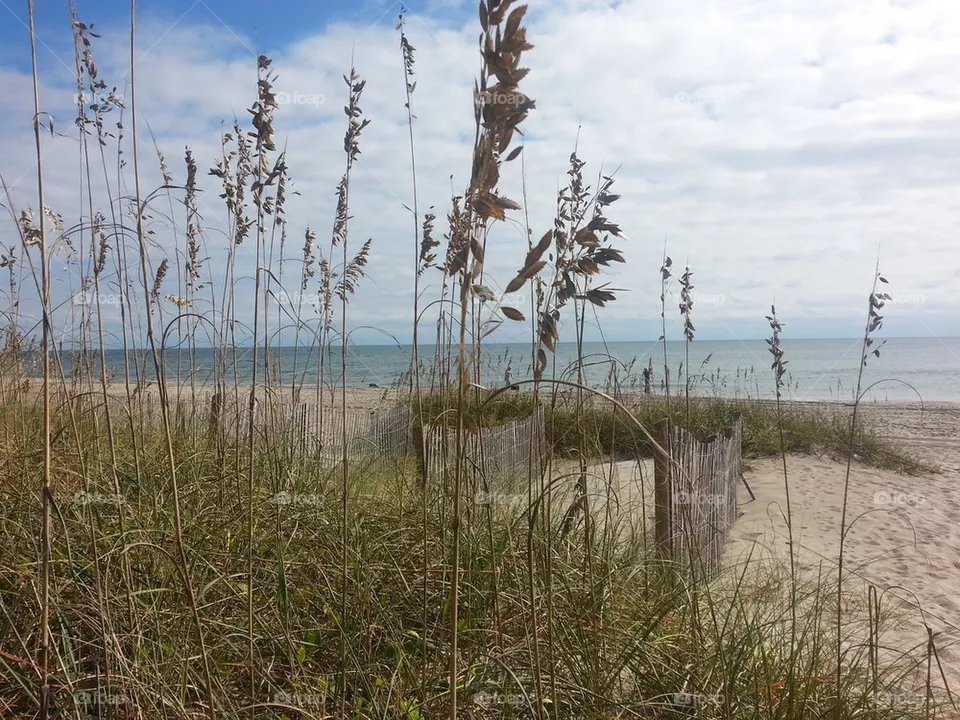 beaches