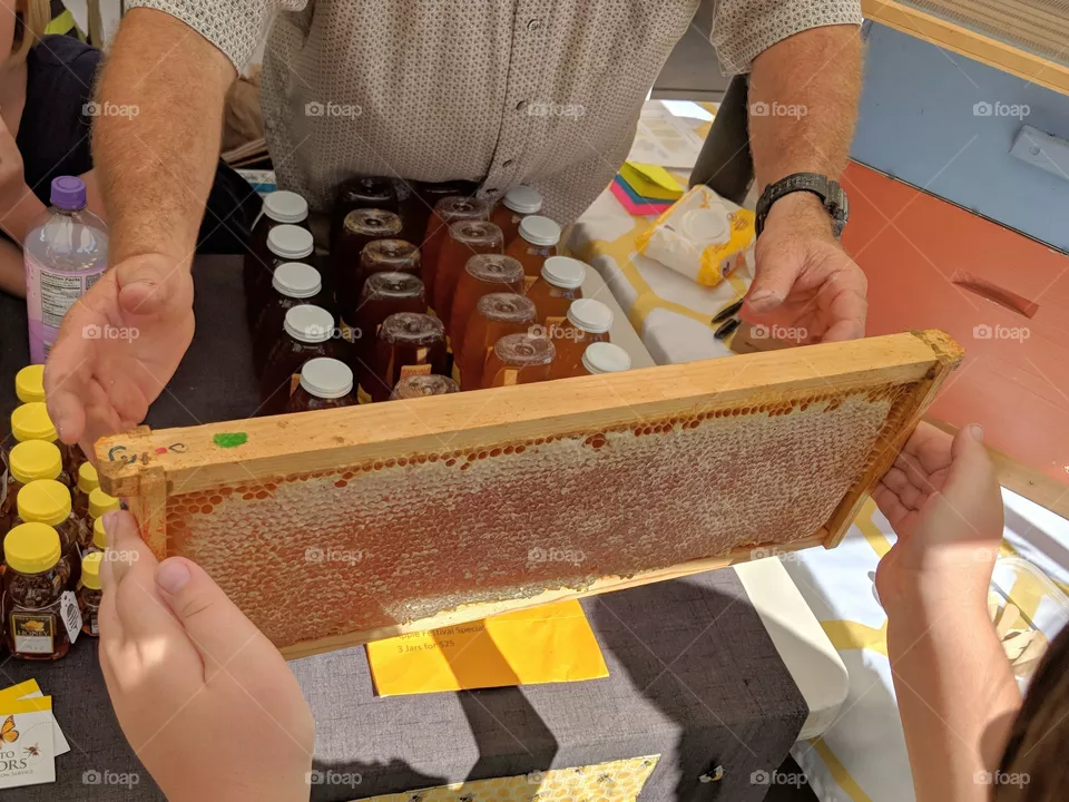 bee wax