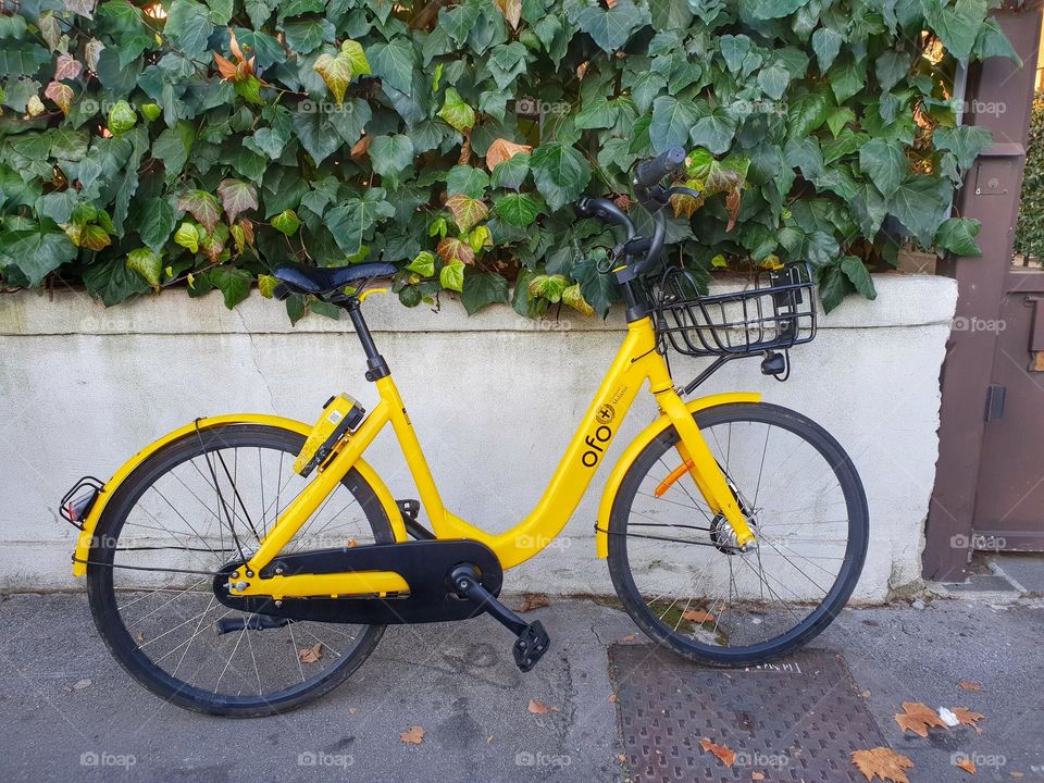Yellow Bicycle