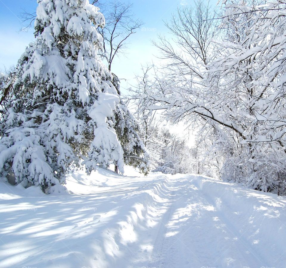 A fresh fallen snow on a country road