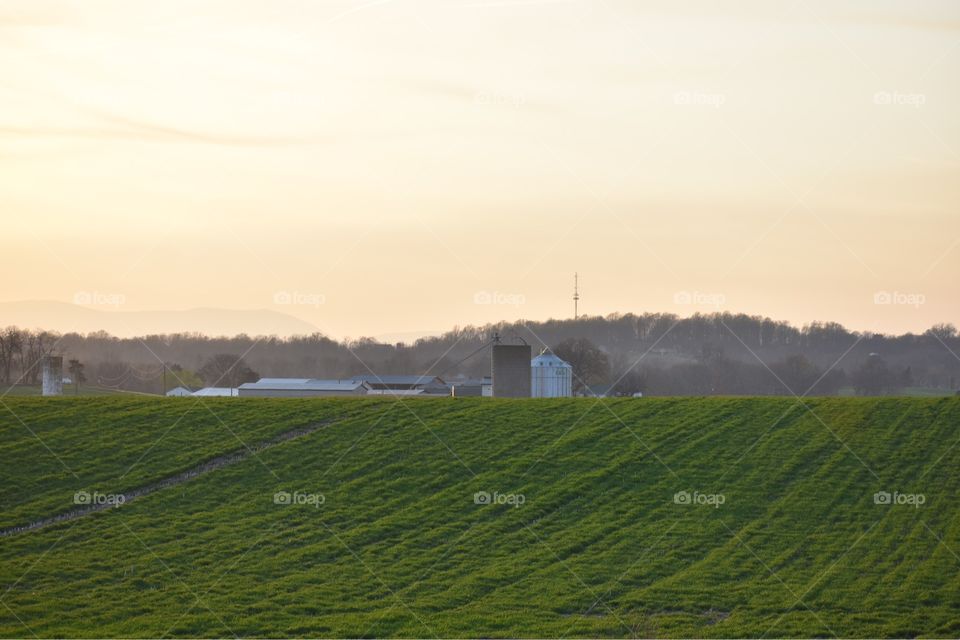 Late evening farmland in the spring