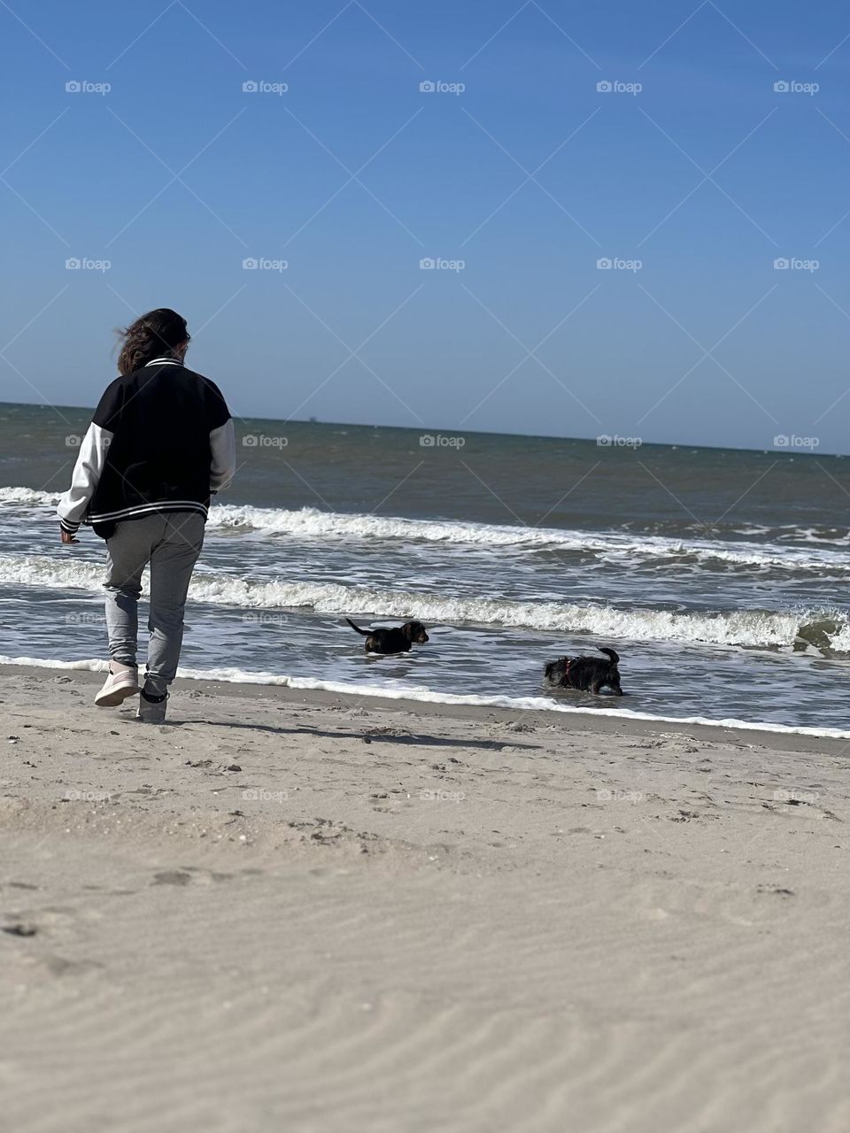 Teenage girl letting the dogs go for a swim on the beach