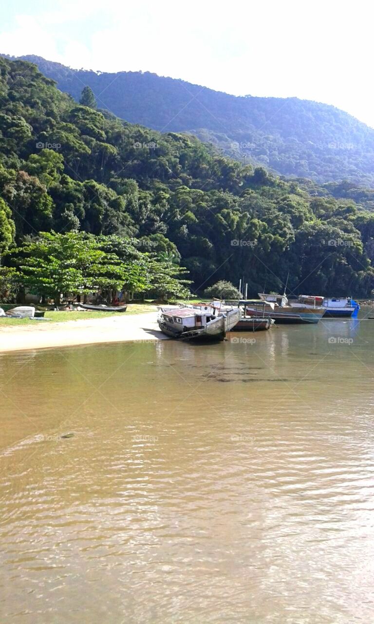 Bela paisagem. Praia - Ubatuba/SP - Brasil.