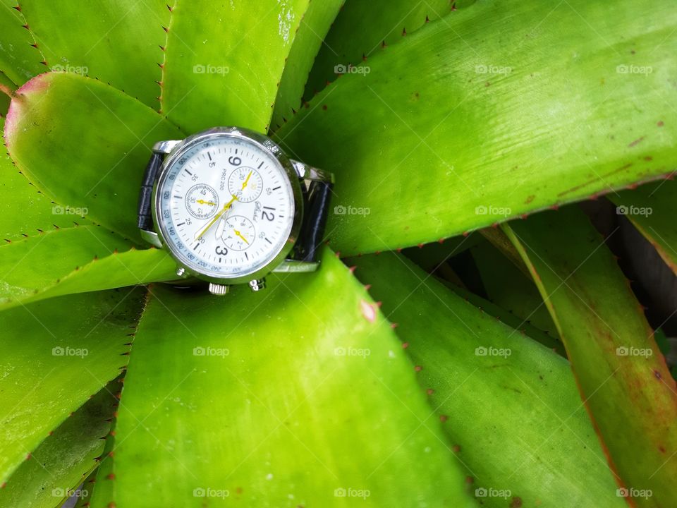 A man watch is placed on the green leaves