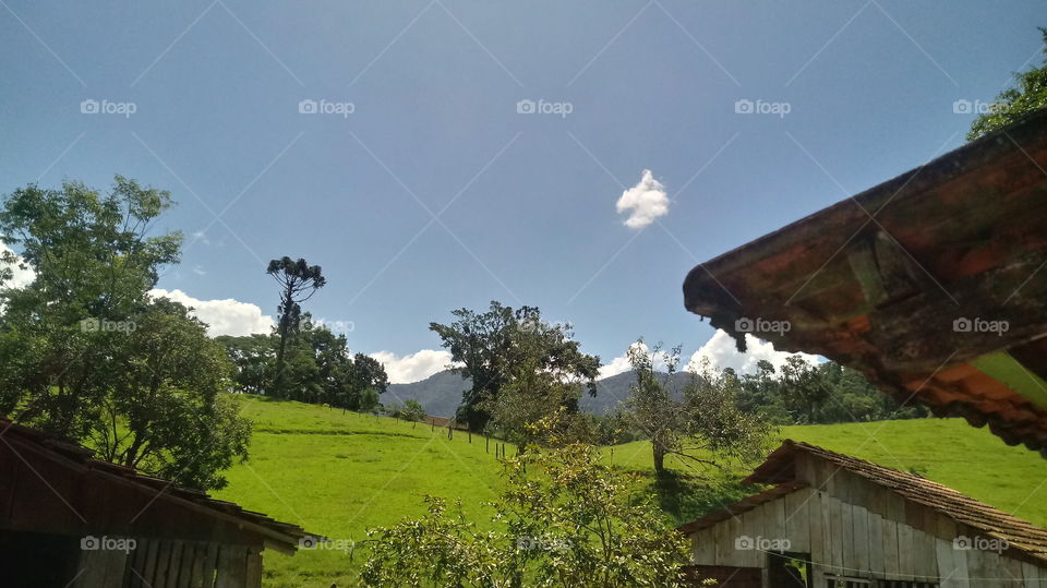 LANDSCAPE NATURE PLANT ENVIRONMENT