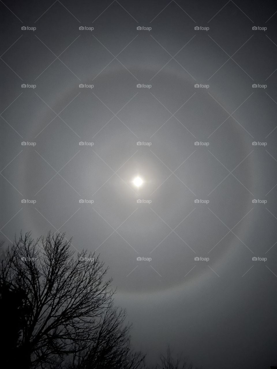 Full moon on a foggy night with a moonlit halo and the shadow of a tree in winter.