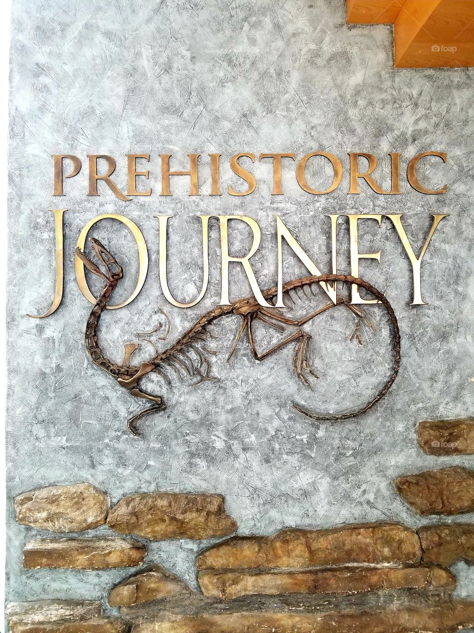 Prehistoric Display