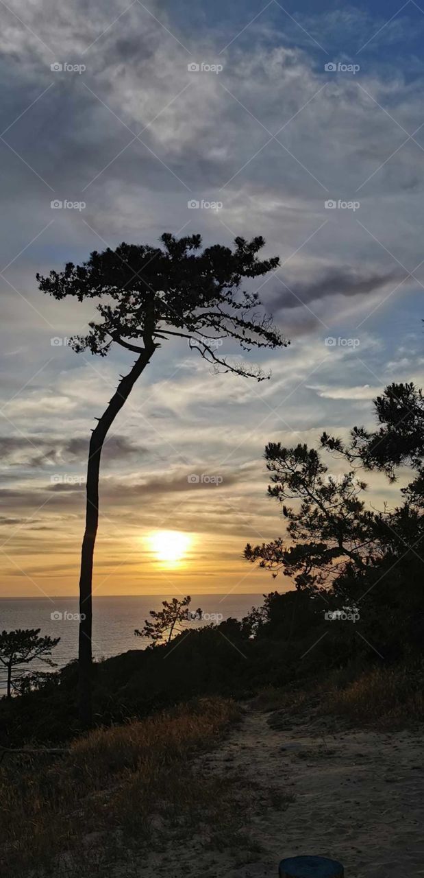 Late afternoon on the beach