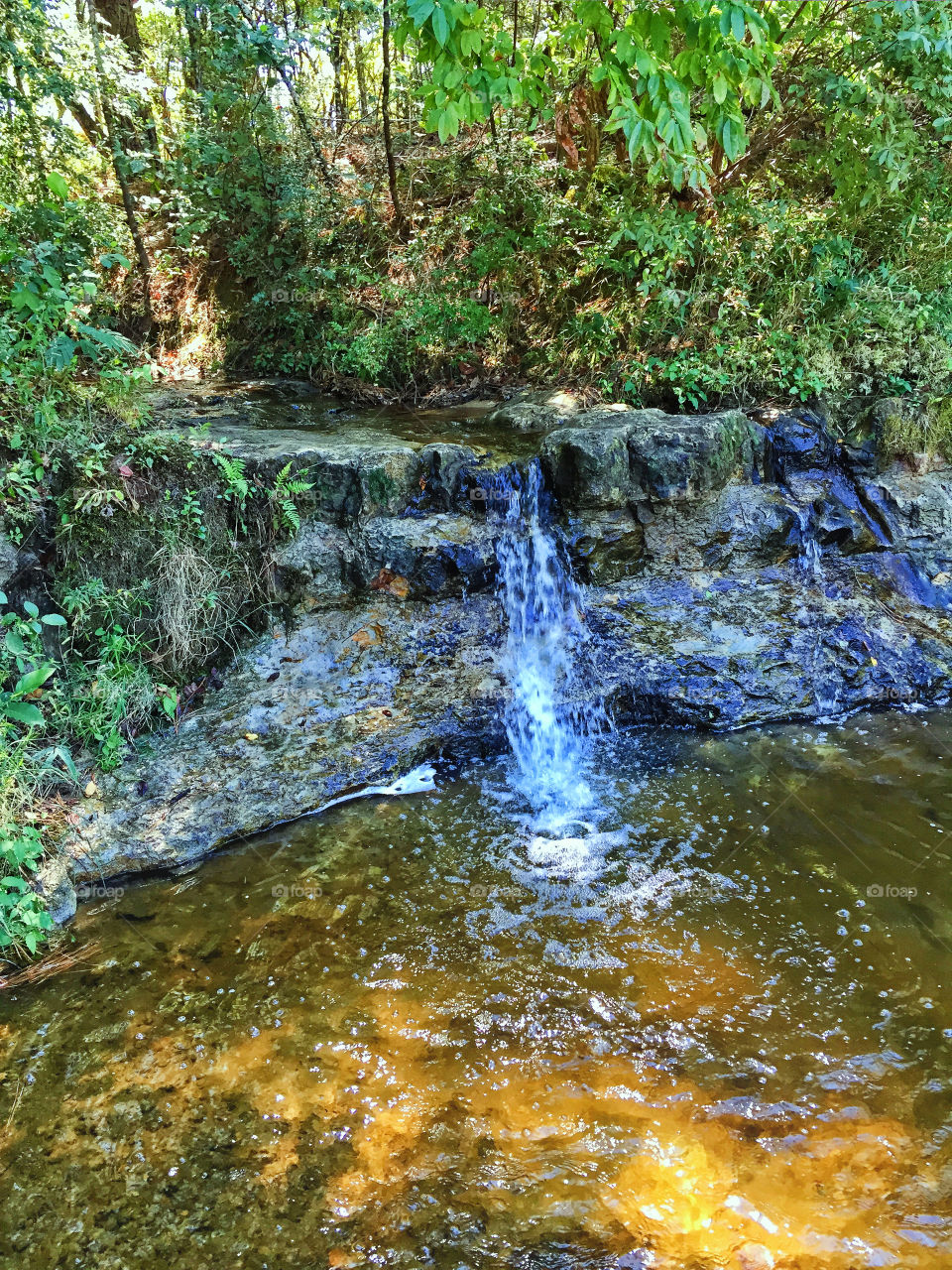 Waterfall at Hemp Creek in Jena Louisiana 