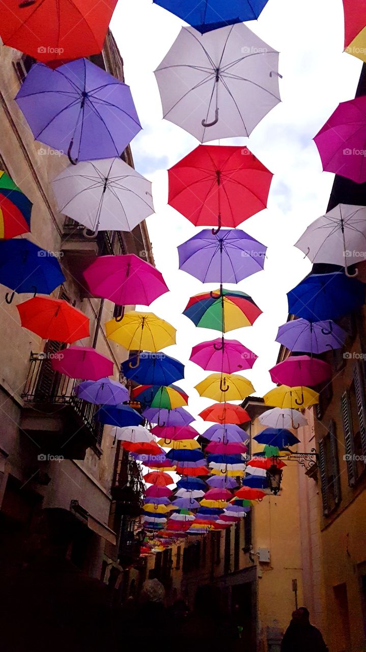 beautiful umbrella colors