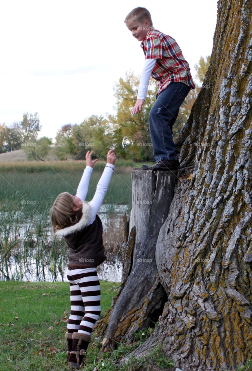 Darling photo of young girl reaching up to her brother who is standing in a tree stump. 
