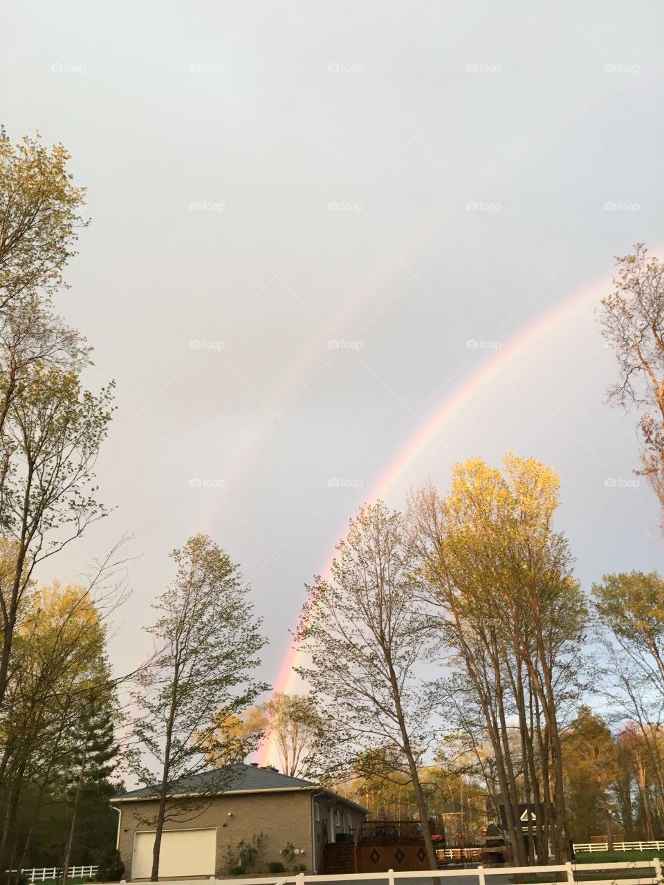 rainbows 