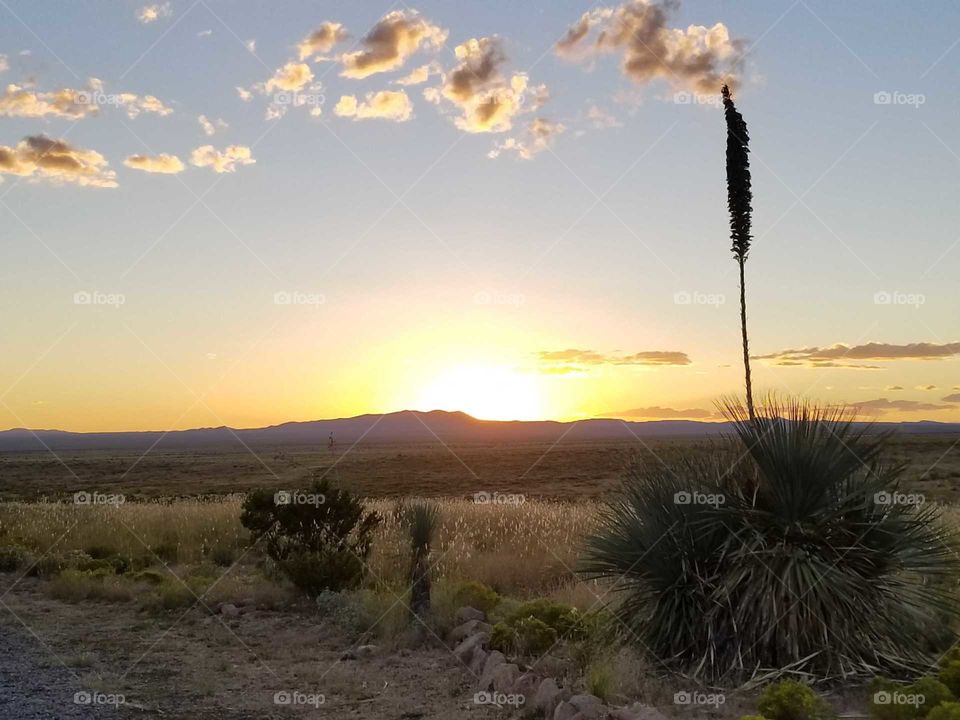 sunset New Mexico