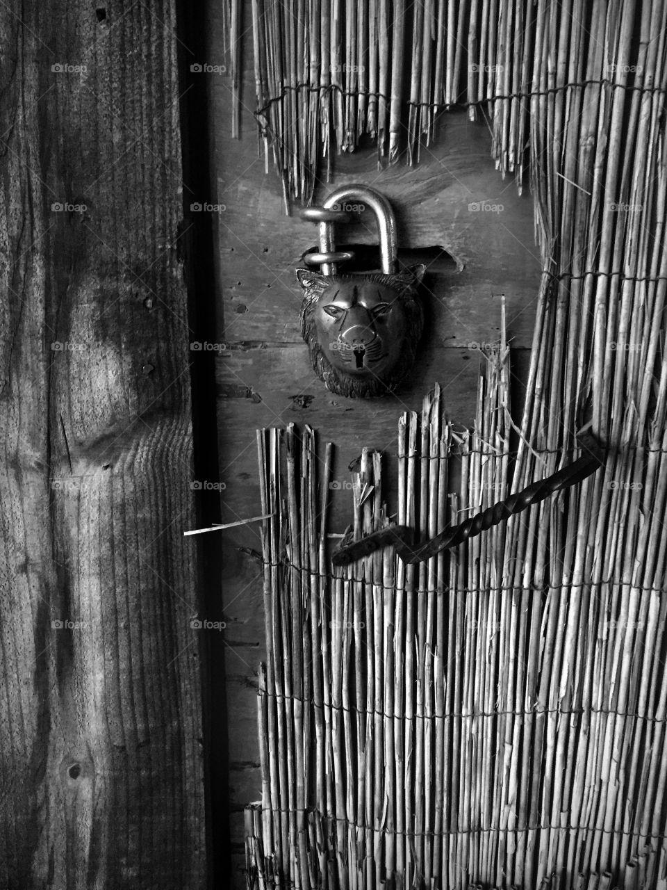 Lions gate black and white