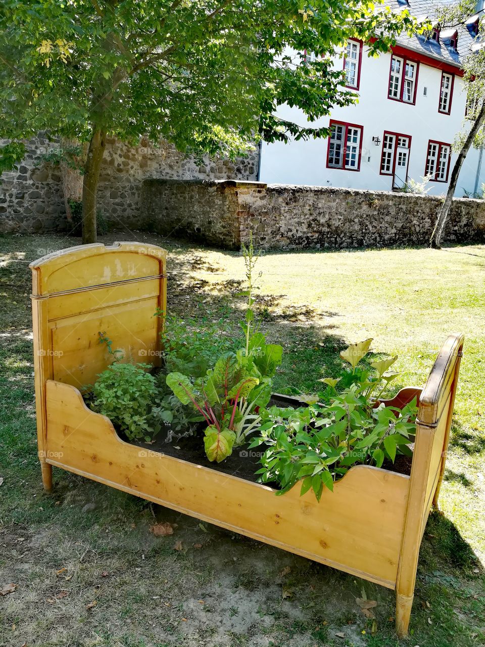 A bed frame as a vegetable patch