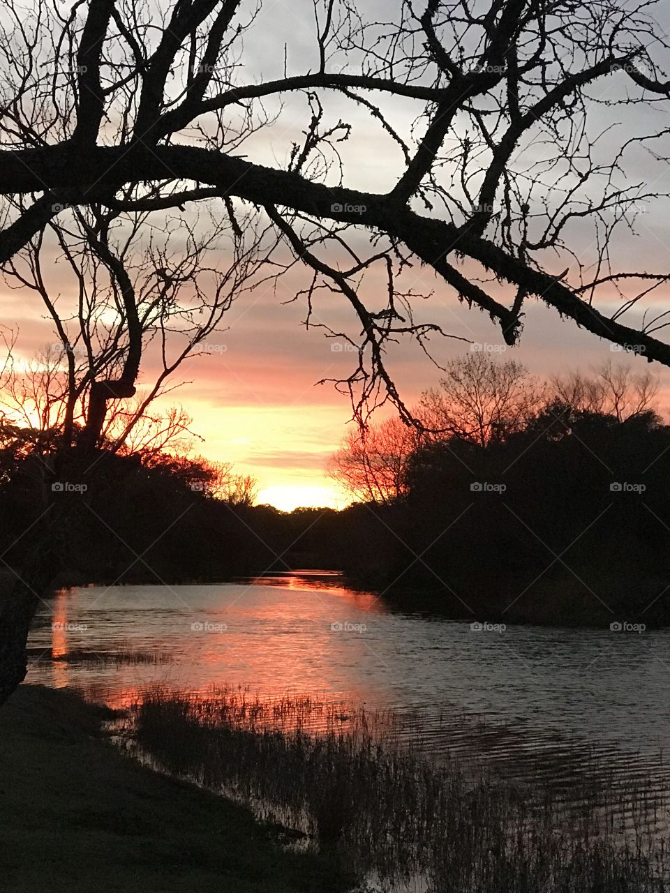 Sunset at Miller Creek