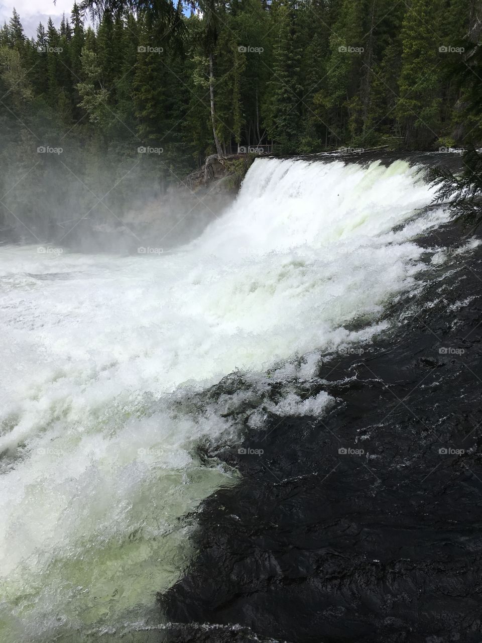 Rushing waters in wells gray park 
