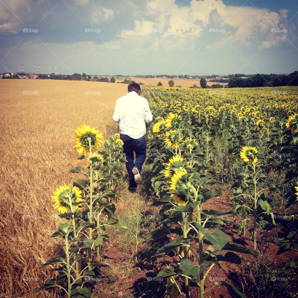 Walking in a sunflower field :)