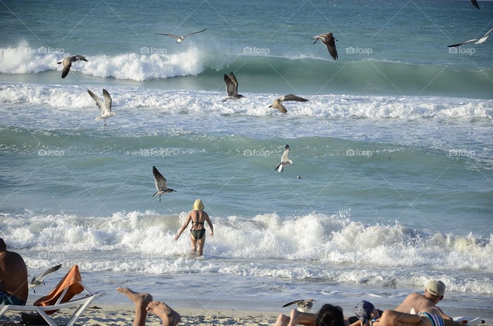 Gaviotas