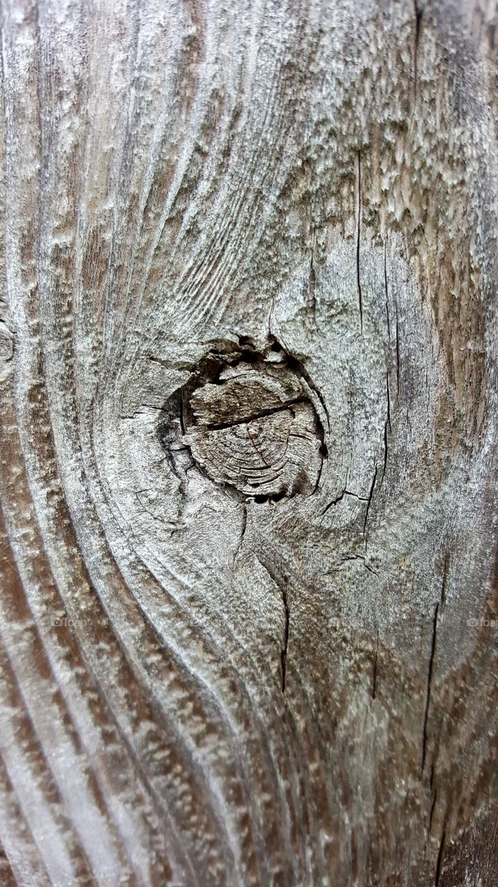 wood knot