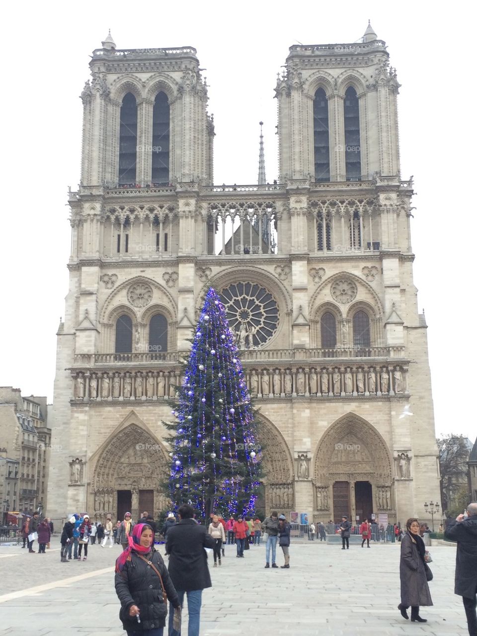 Notre dame