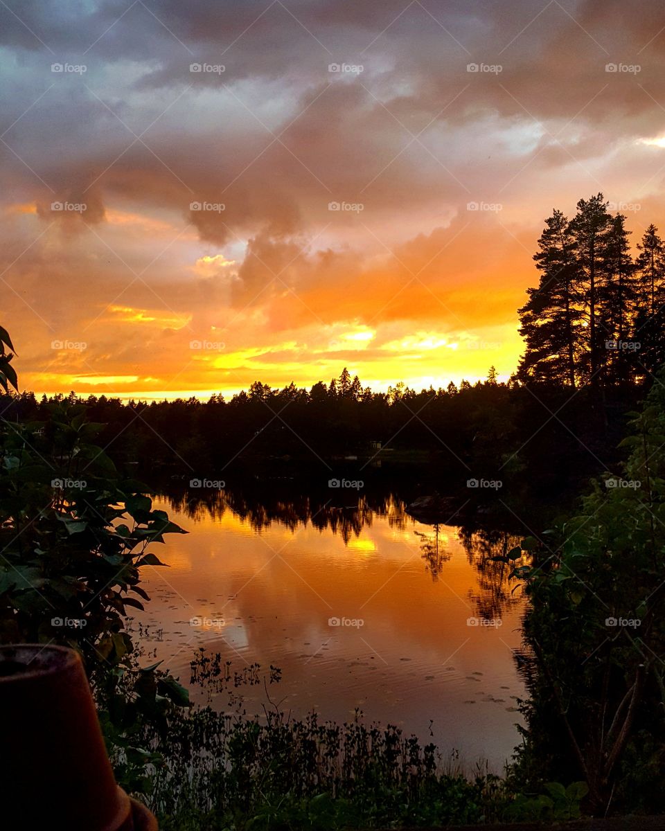 Reflection of trees on lake at sunset