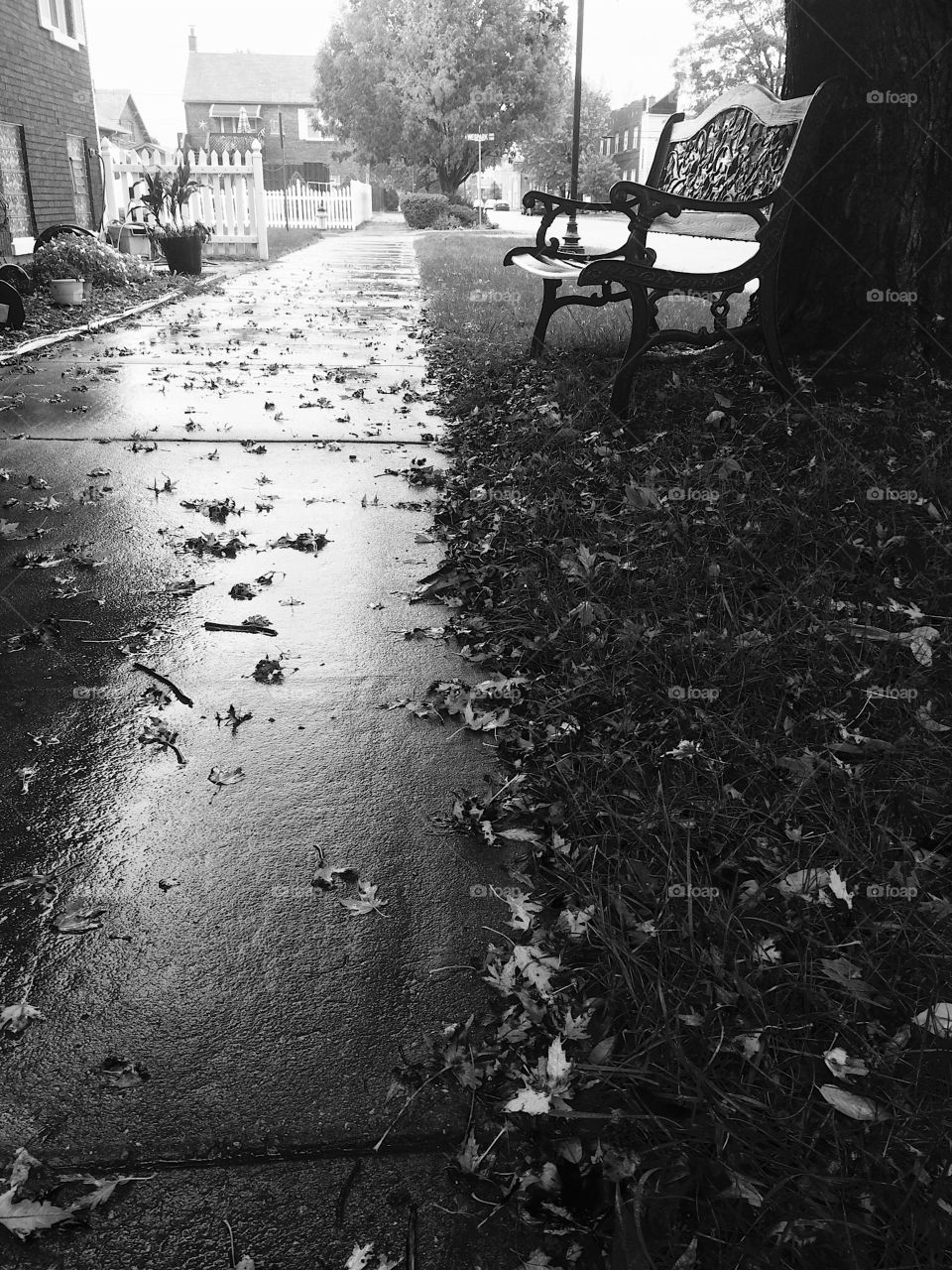 Rainy fall day 