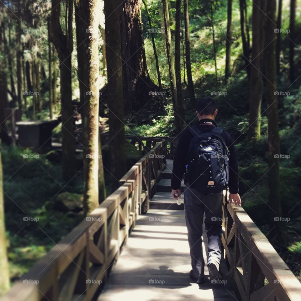 Backpack. Walking trail 