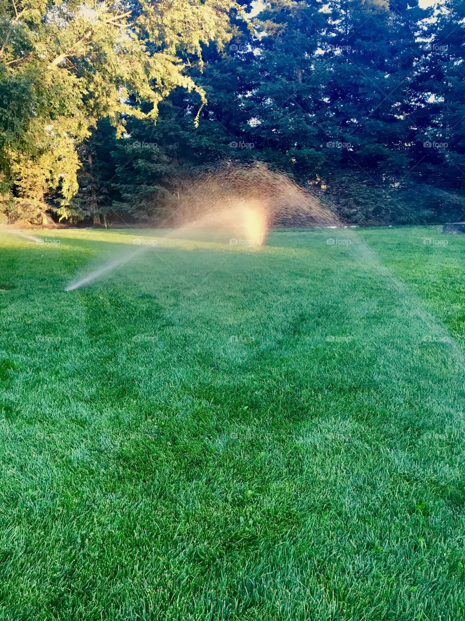 Sprinkler’s on 