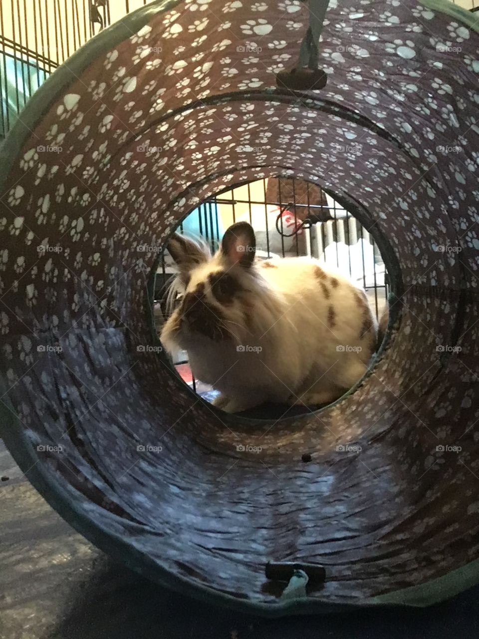 Bun in tube